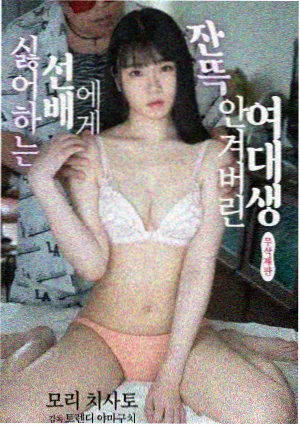 纪录片回声测量影片封面